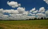 Buckingham County Virginia Land Buckingham County Virginia Land