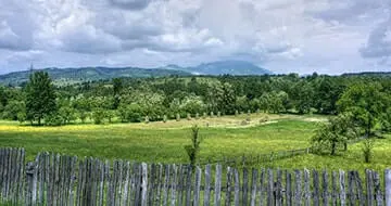 Shenandoah Farm Land Shenandoah Farm Land