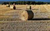 Hanover Virginia Land Hanover Virginia Land