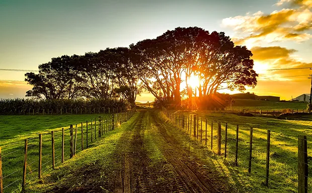 Charlottesville Farms for Sale Charlottesville Farms for Sale