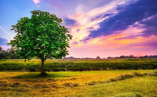 Charlottesville Farms for Sale Charlottesville Farms for Sale