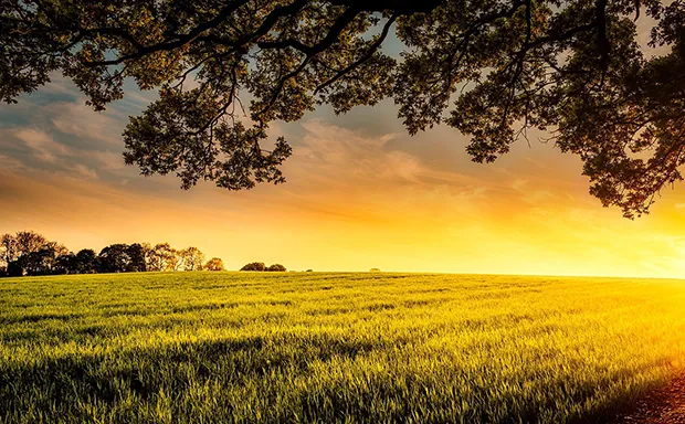 Northern Virginia Farms for Sale Northern Virginia Farms for Sale