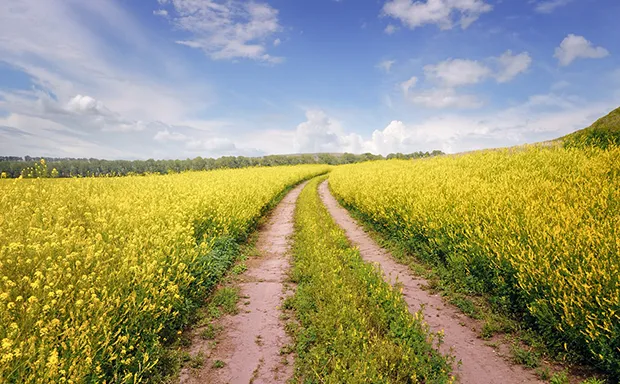 Richmond Farms for Sale Richmond Farms for Sale