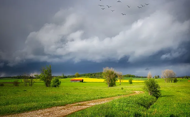 Richmond Farms for Sale Richmond Farms for Sale