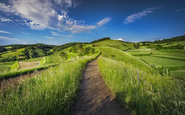 Richmond Farms for Sale Richmond Farms for Sale