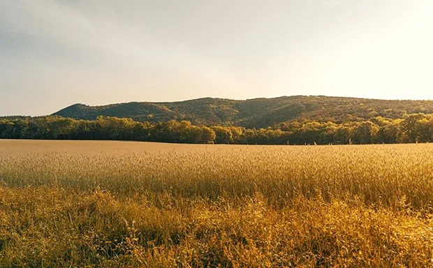 Shenandoah Valley Farms for Sale Shenandoah Valley Farms for Sale