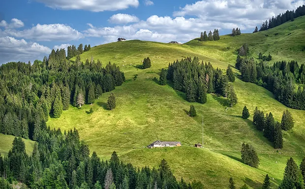 Shenandoah Valley Farms for Sale Shenandoah Valley Farms for Sale